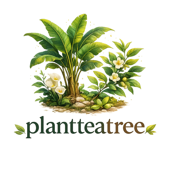 plantteatree.shop
